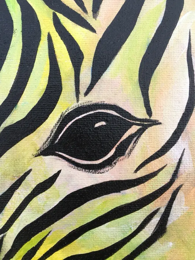 The Zebra - 3